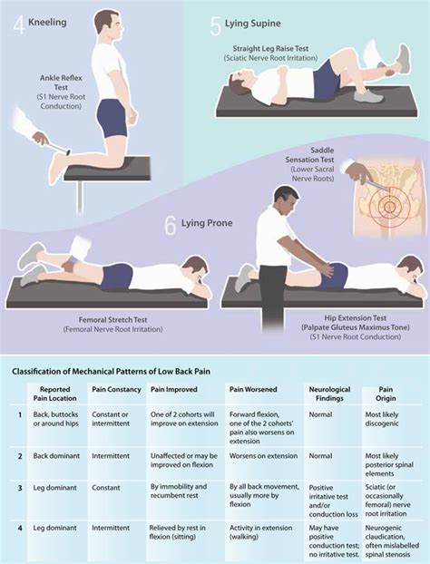 compression test back pain|low back pain assessment.